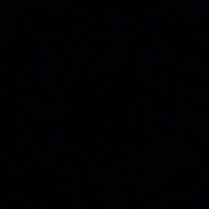 Meet your Posher, Timothy